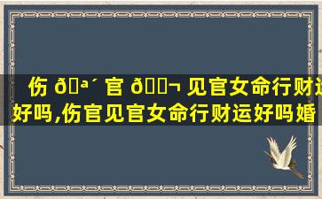 伤 🪴 官 🐬 见官女命行财运好吗,伤官见官女命行财运好吗婚姻如何